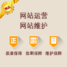 网站设计开发
